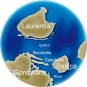 Colour image of globe showing changing position of continents Gondwana, Baltica, Laurentia, Brookville, Caledonia
