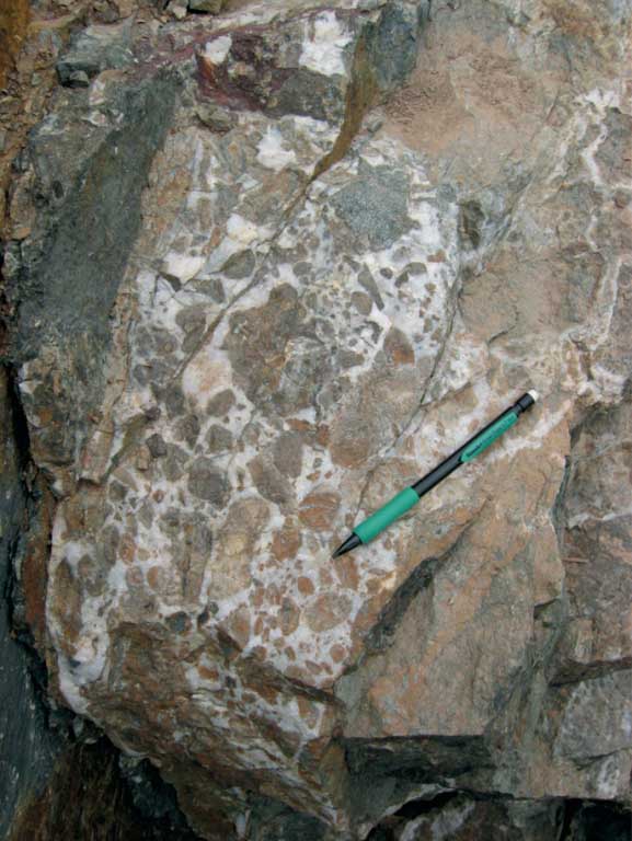 Colour photograph of brown rock with white and black spots and pencil for scale