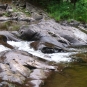 Colour photograph of brook, trees and rocks