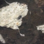 Image couleur d’une roche noire avec grandes taches blanches