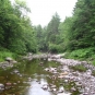 Photographie couleur d’un ruisseau, d’arbres et de roches