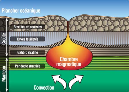 Image couleur représentant les couches de la croûte terrestre et le manteau du fond océanique