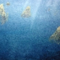 Colour image of blue ocean and jellyfish like animals
