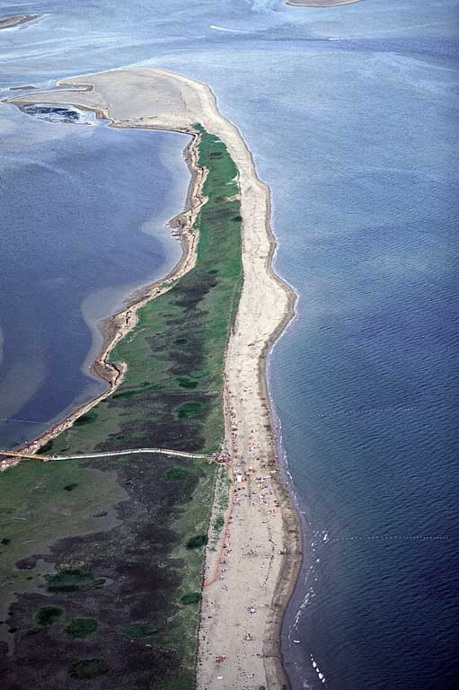 Colour photograph of a sand bar with green plants on it and with ocean both sides