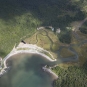 Colour photograph of a beach on the ocean with green forest surrounding it