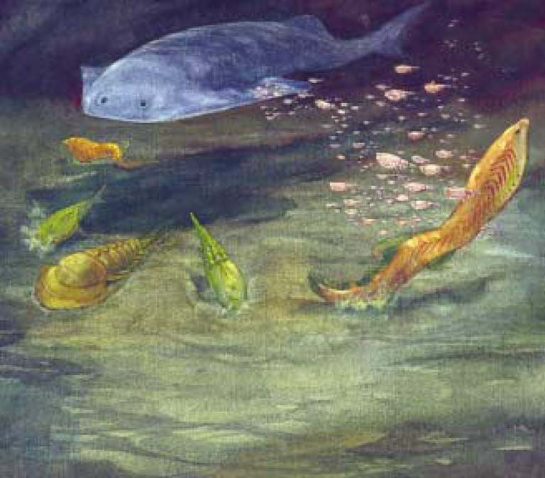 Colour image of water and colourful fish