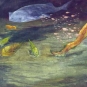 Image couleur d'eau et de poisson coloré