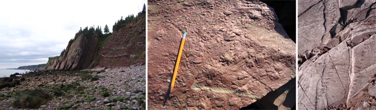 Triple colour image of red rock face, red rock with pencil for scale and fossilized prints in red rock
