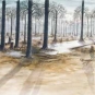 Watercolour painting of tall trees in the moonlight