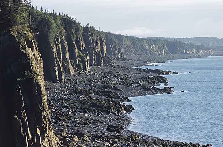 Colour photograph of a gray rock cliff along a shoreline